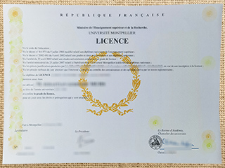 Université de Montpellier degree
