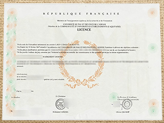 Université de Pau et des pays de l'Adour diploma