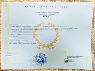 Université de Strasbourg diploma