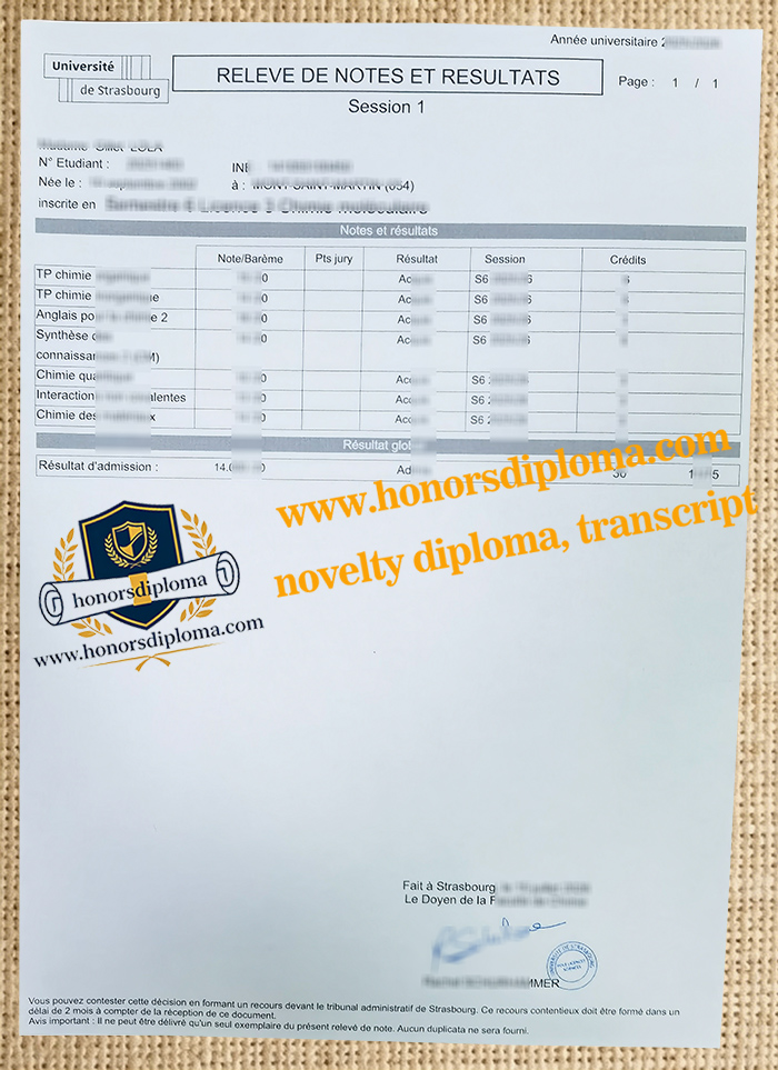 Université de Strasbourg transcript