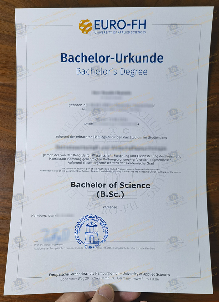 Euro-FH diploma