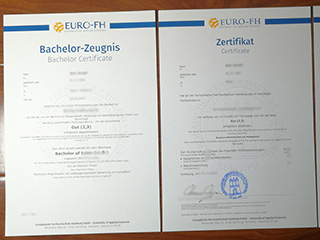 Euro-FH zeugnis