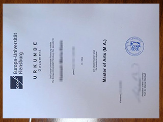 Europa-Universität Flensburg degree