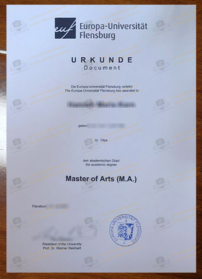 Europa-Universität Flensburg diploma