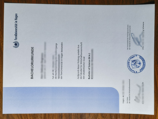 FernUniversität in Hagen degree