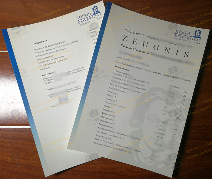 Goethe-Universität Frankfurt transcript
