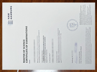 HAW Hamburg degree