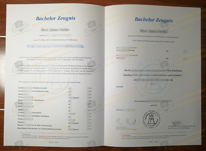 Hamburger Fern-Hochschule transcript