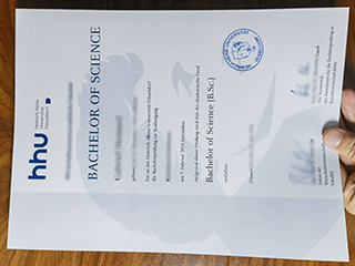 Heinrich-Heine-Universität Düsseldorf degree