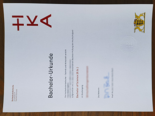 Hochschule Karlsruhe degree