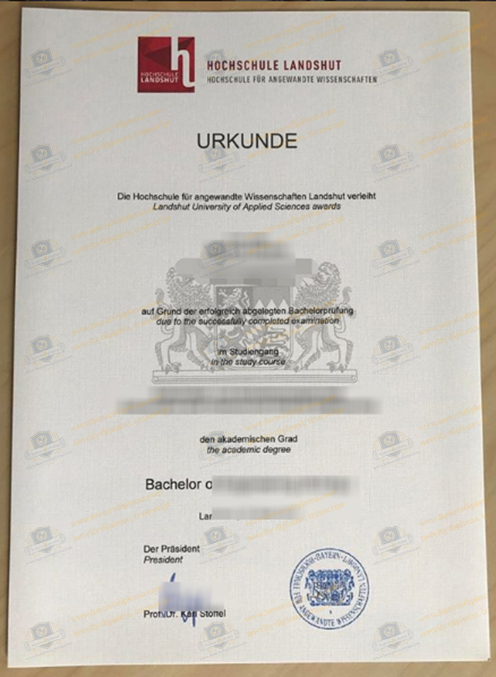Hochschule Landshut diploma