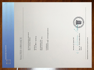 Hochschule Mannheim degree