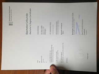 Hochschule Reutlingen degree