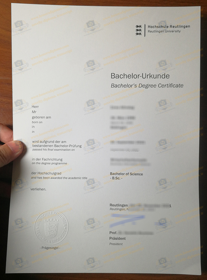 Hochschule Reutlingen diploma