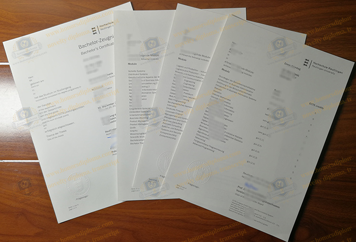 Hochschule Reutlingen transcript