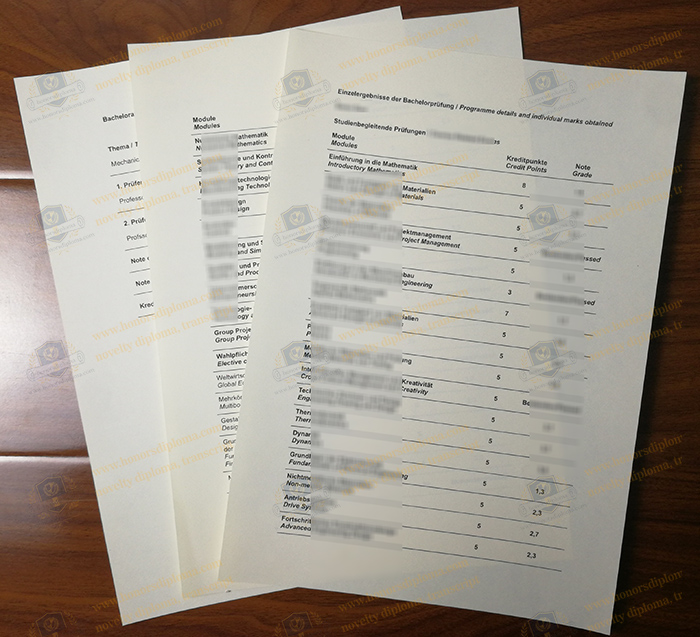 Hochschule Rhein-Waal transcript