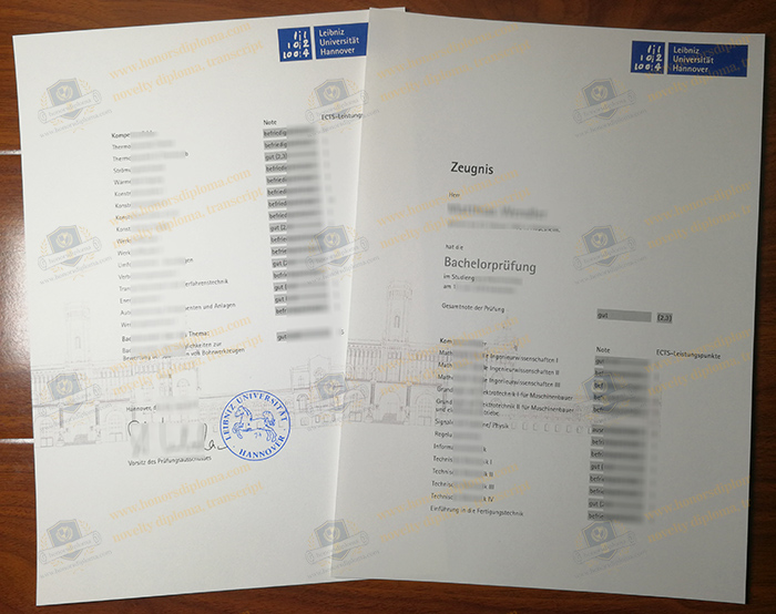 Leibniz Universität Hannover transcript
