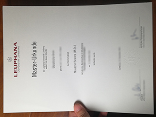 Leuphana Universität Lüneburg degree