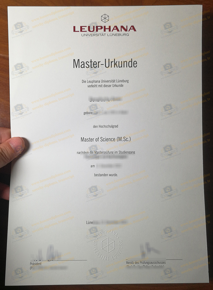 Leuphana Universität Lüneburg diploma