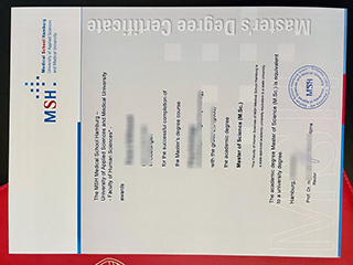MSH Medical School Hamburg degree