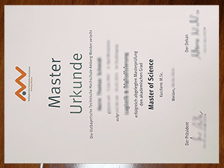 OTH Amberg-Weiden degree