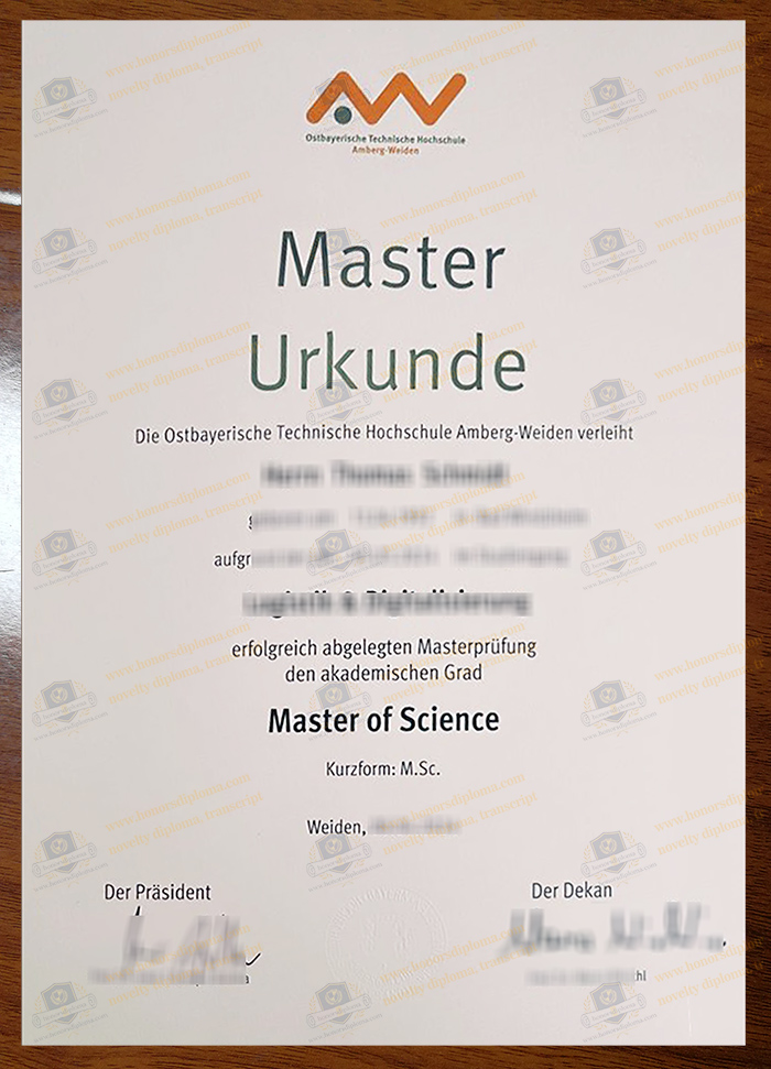 OTH Amberg-Weiden diploma