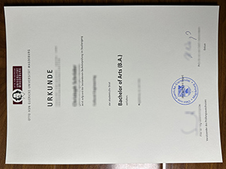 Otto-von-Guericke-Universität Magdeburg degree
