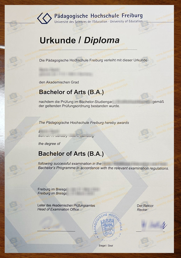 Pädagogische Hochschule Freiburg diploma