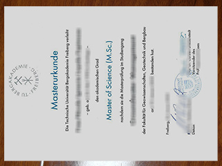TU Bergakademie Freiberg degree