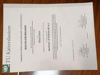 Technische Universität Clausthal degree