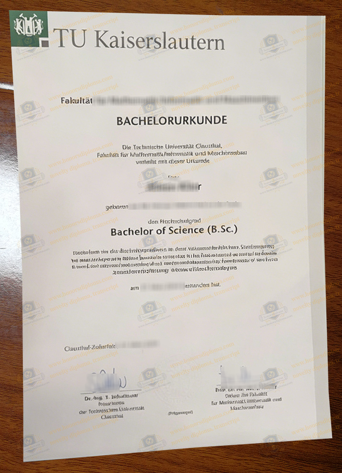 Technische Universität Clausthal diploma