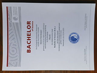 TU Darmstadt degree