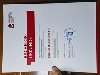 Technische Hochschule Lübeck degree