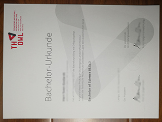 Technische Hochschule OWL degree