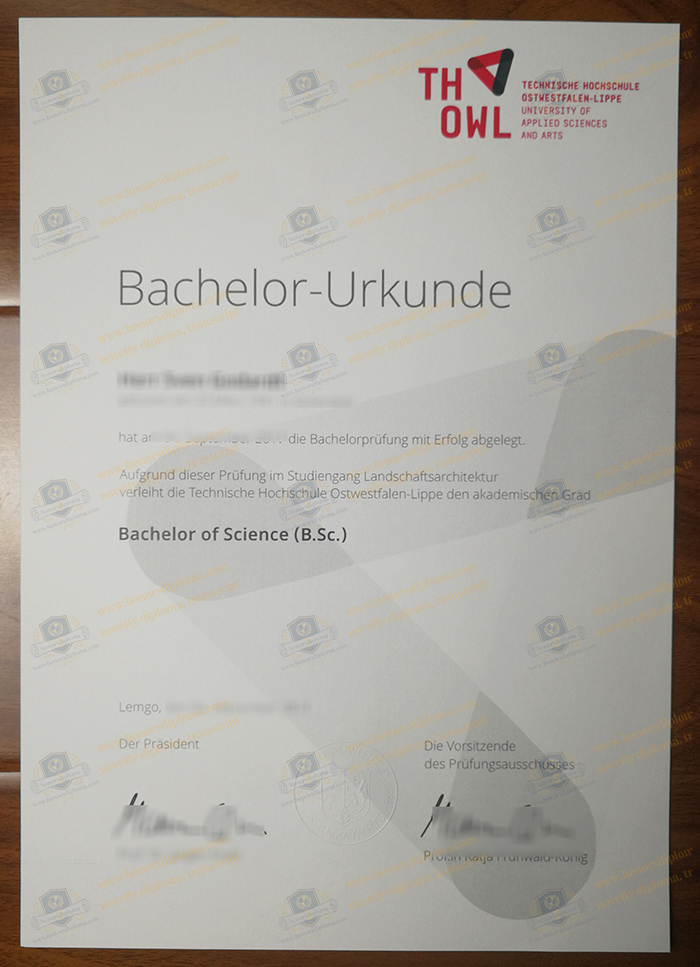 Technische Hochschule OWL diploma