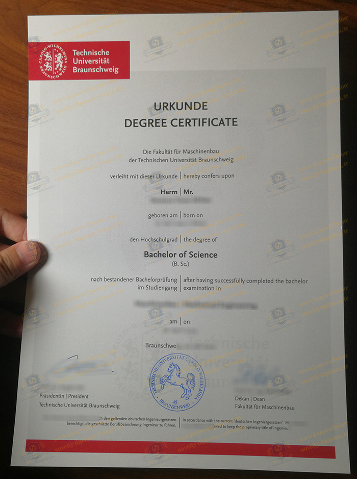TU Braunschweig diploma