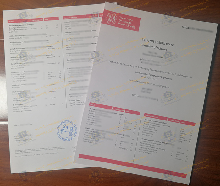 TU Braunschweig transcript