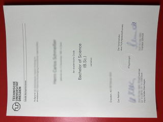 Technische Universität Dresden degree