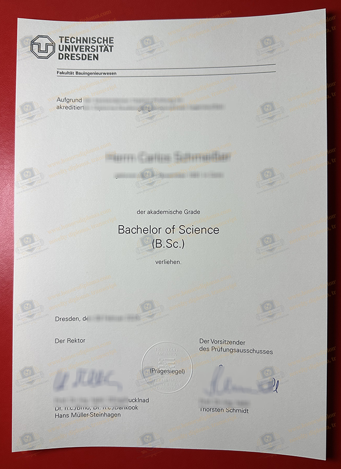 Technische Universität Dresden diploma