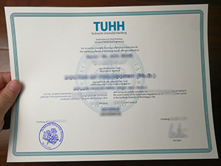Technische Universität Hamburg degree