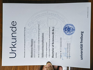 Universität Freiburg degree
