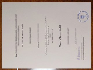 Universität Hamburg degree