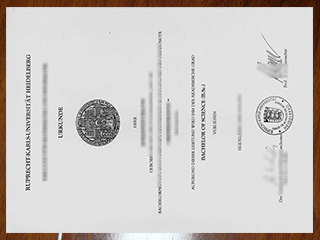 Universität Heidelberg degree
