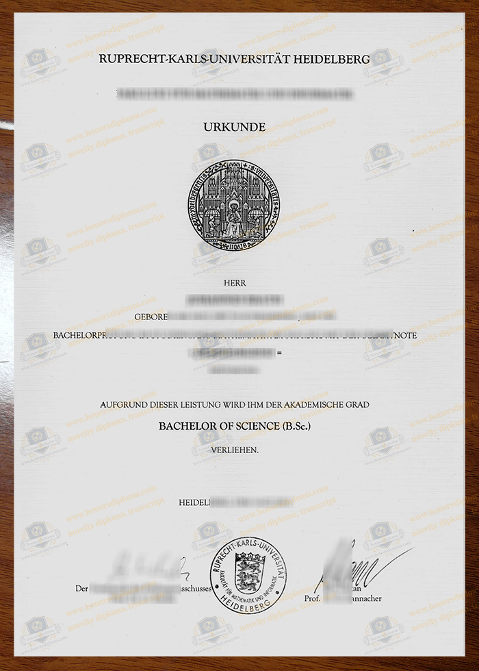 Universität Heidelberg diploma