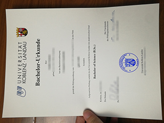 Universität Koblenz-Landau degree