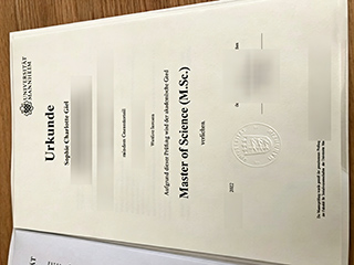 Universität Mannheim degree