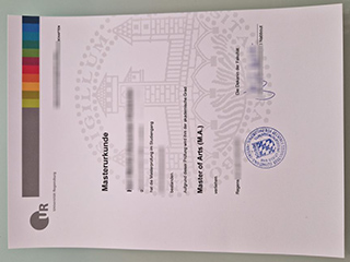 Universität Regensburg degree