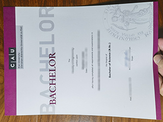 Universität zu Kiel degree