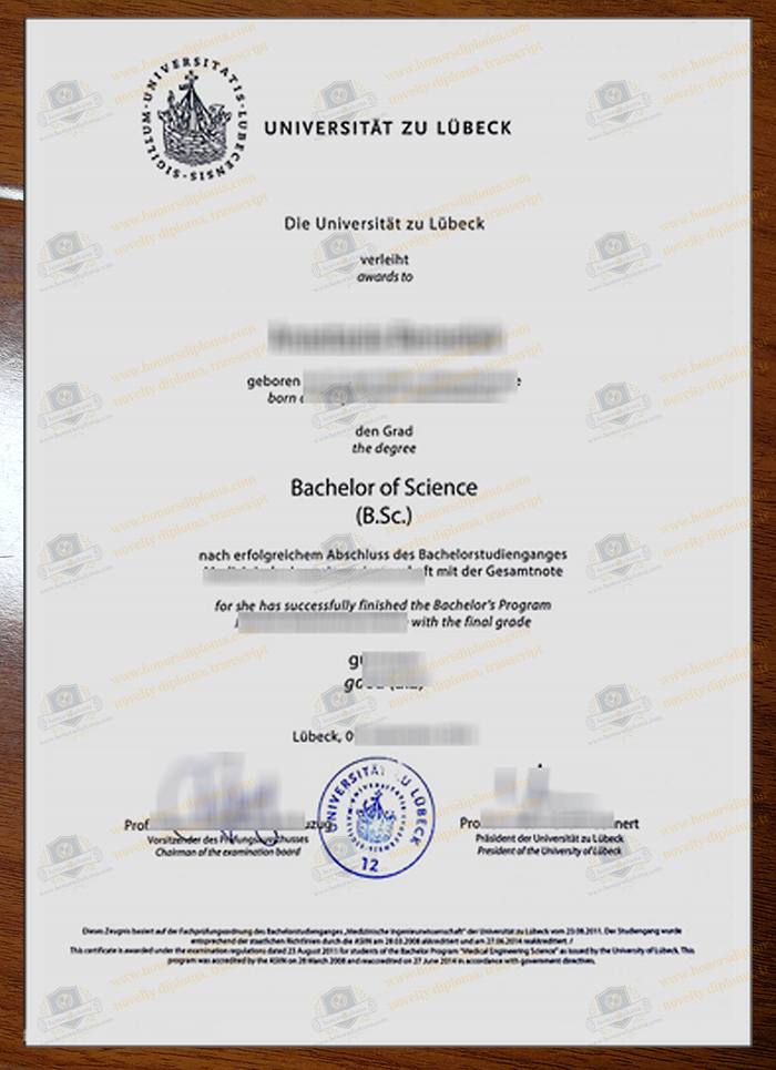 Universität zu Lübeck diploma